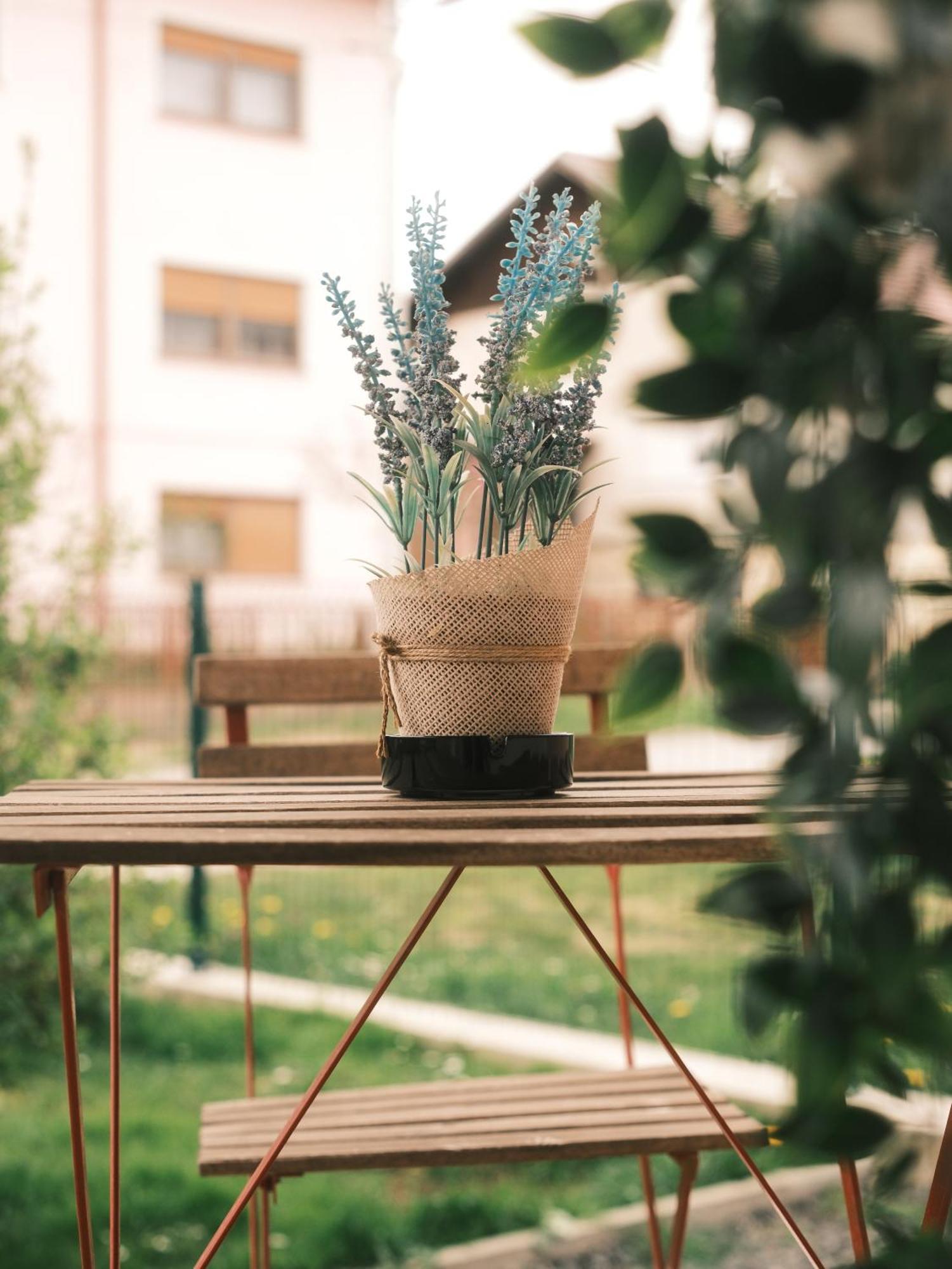 Apartmani Venium Križevci Εξωτερικό φωτογραφία